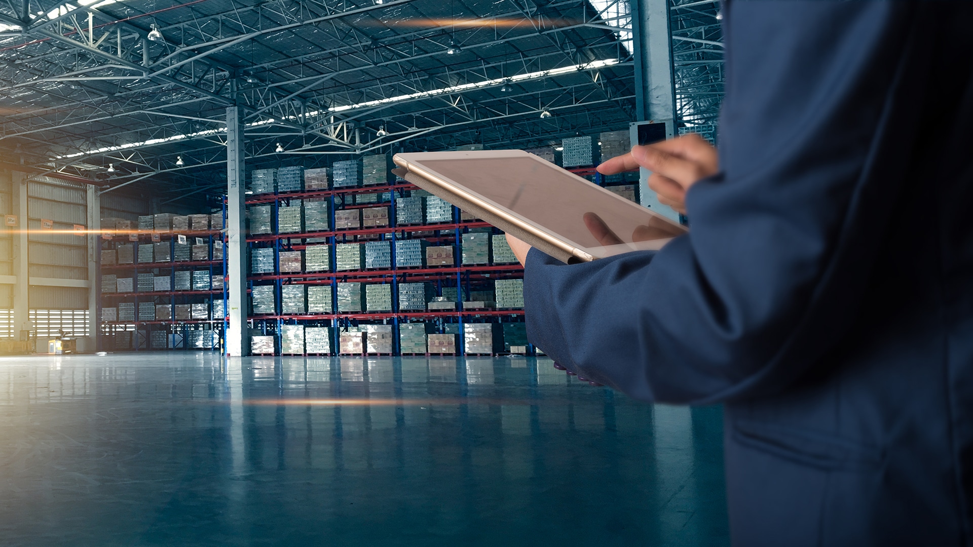 Warehouse Management • Professional expertise managing